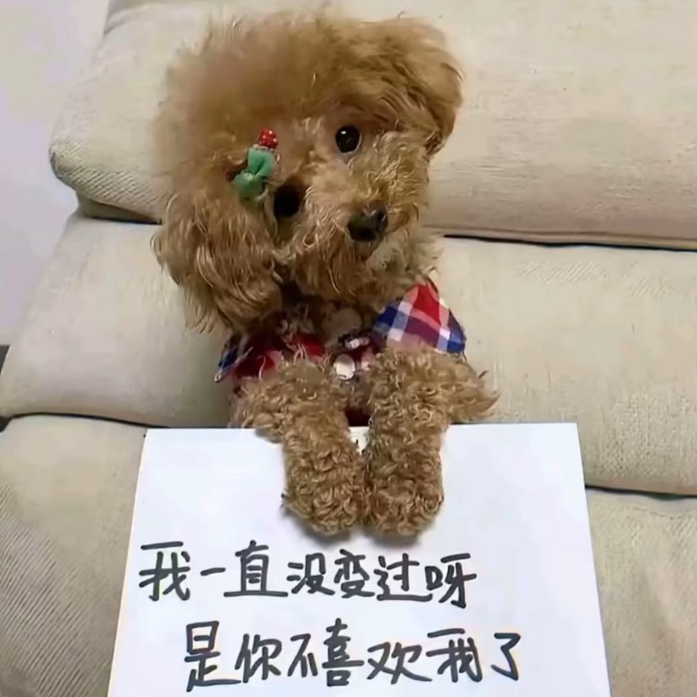 李佳涵