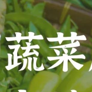 长沙海吉星蔬菜代卖