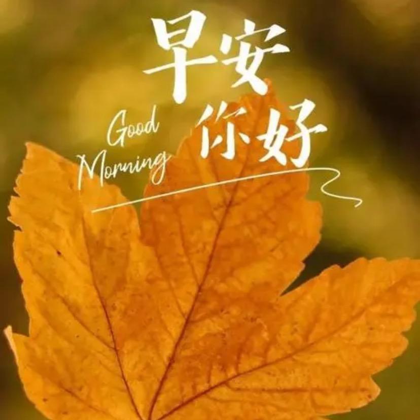 小红绳00