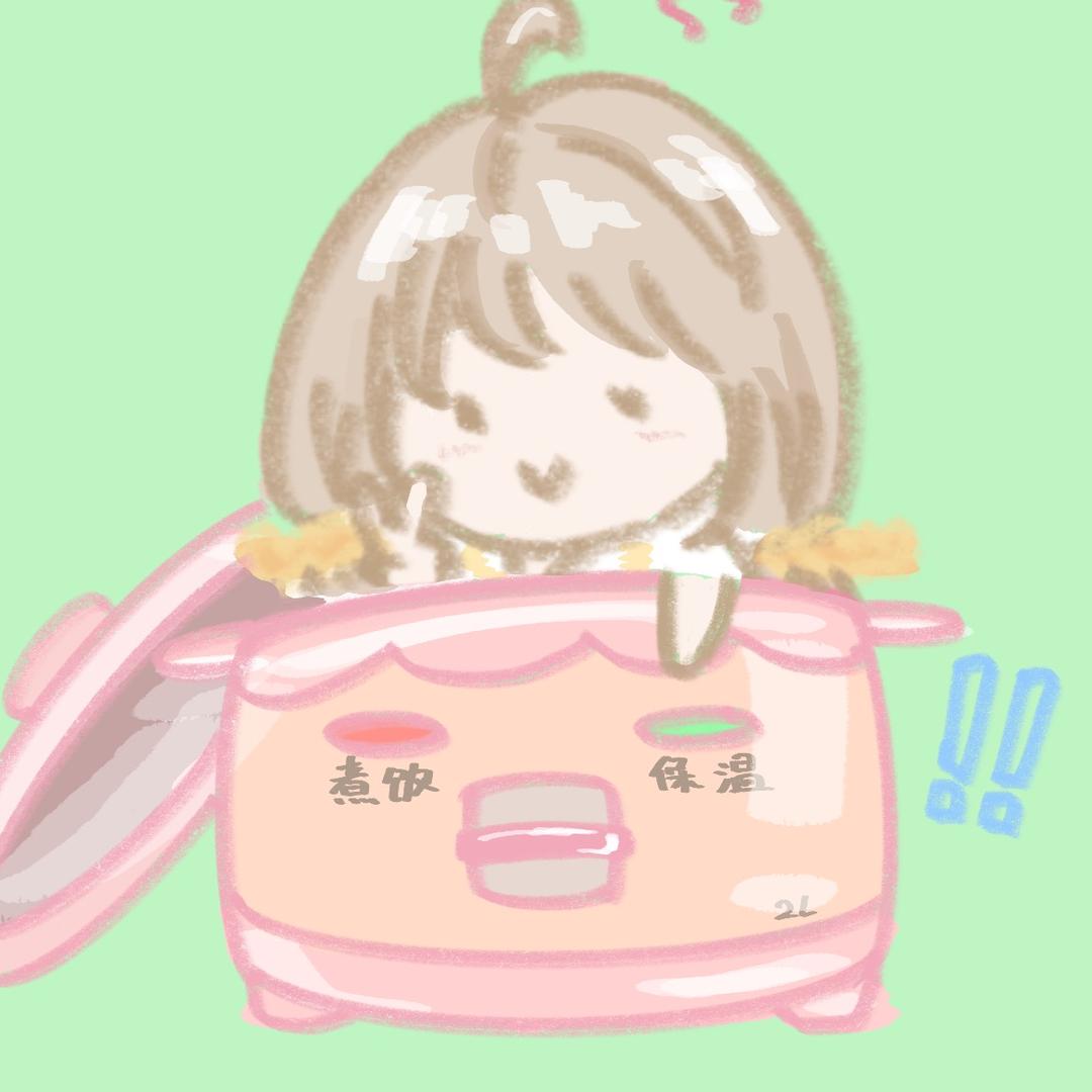 迷你电饭煲