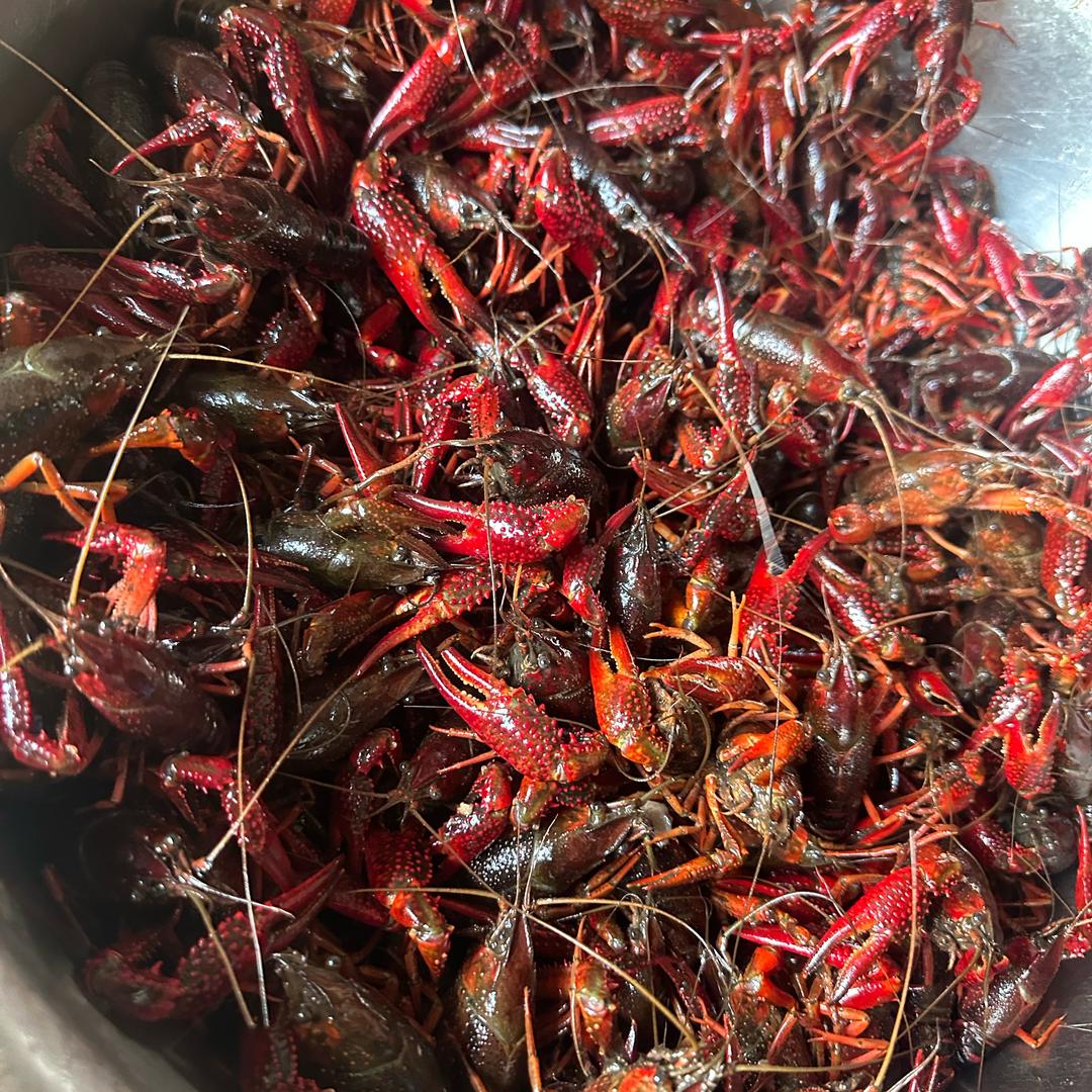 故乡农场土特产