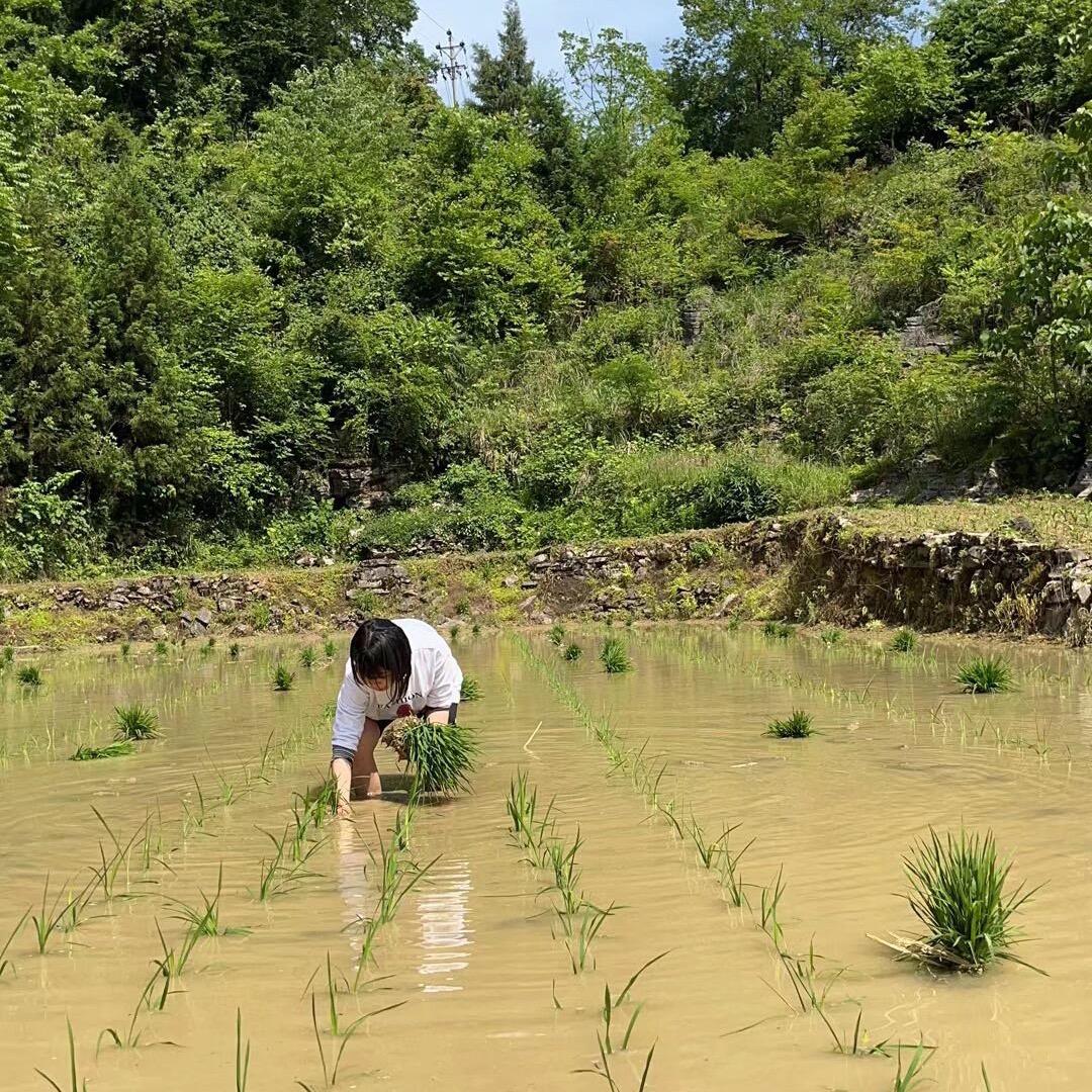 白衣天使🧑‍⚕️