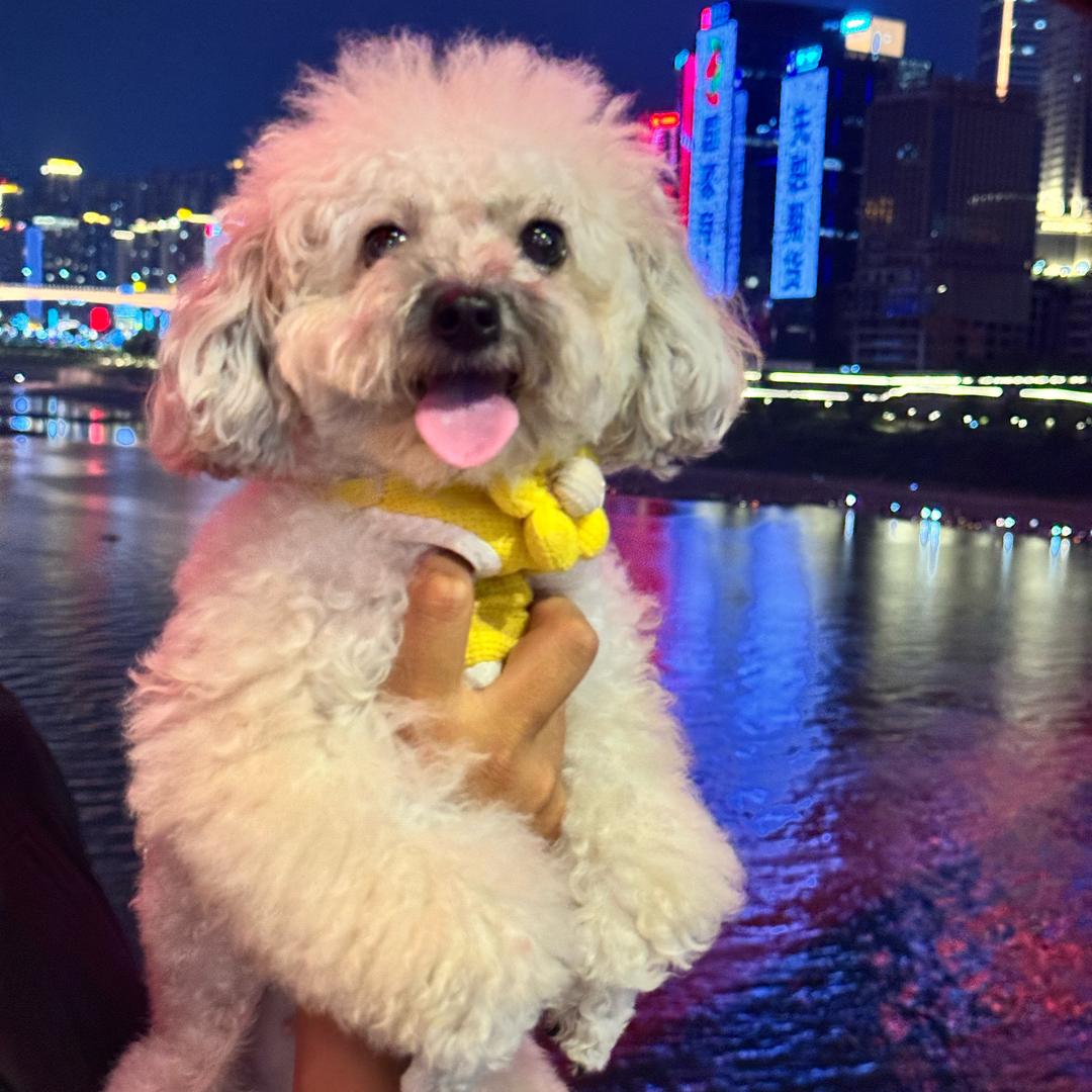 熊馒头熊优优