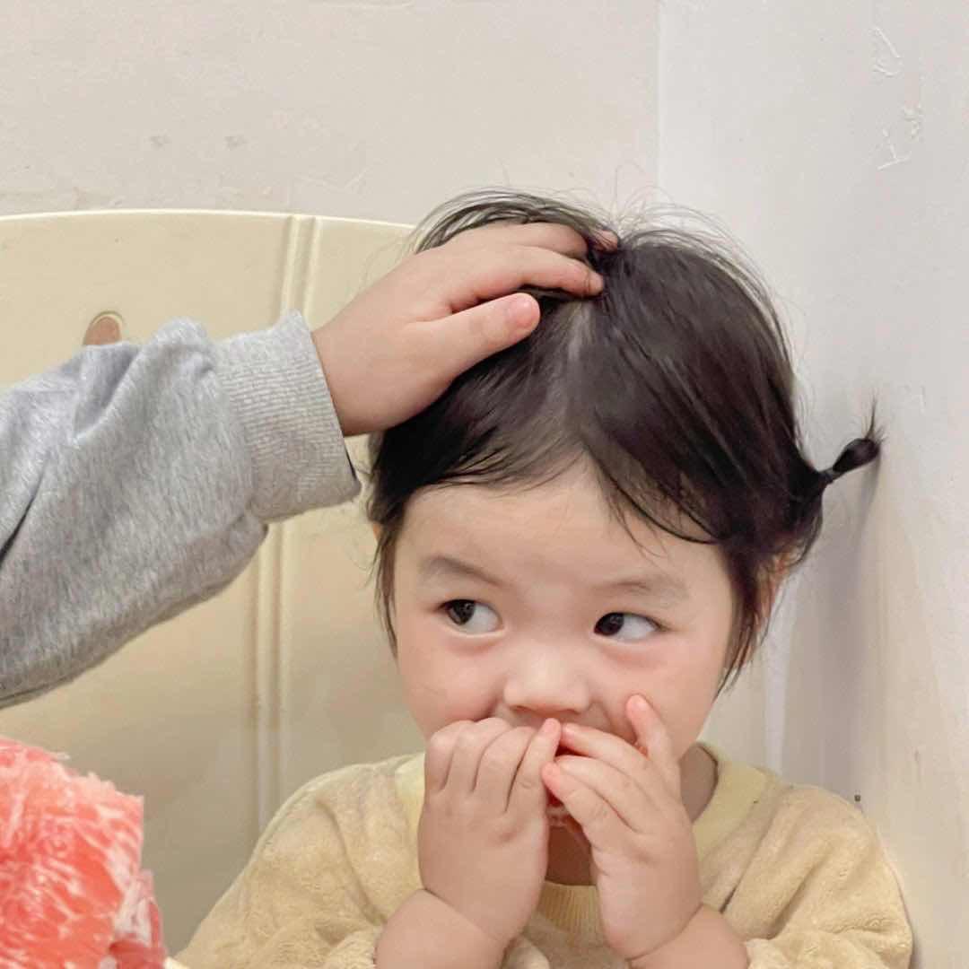 丢丢是个小鼻嘎🐶