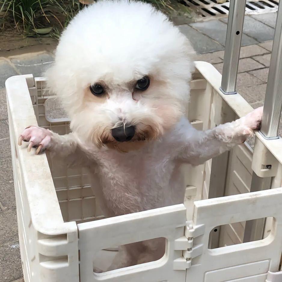 别跟我说话