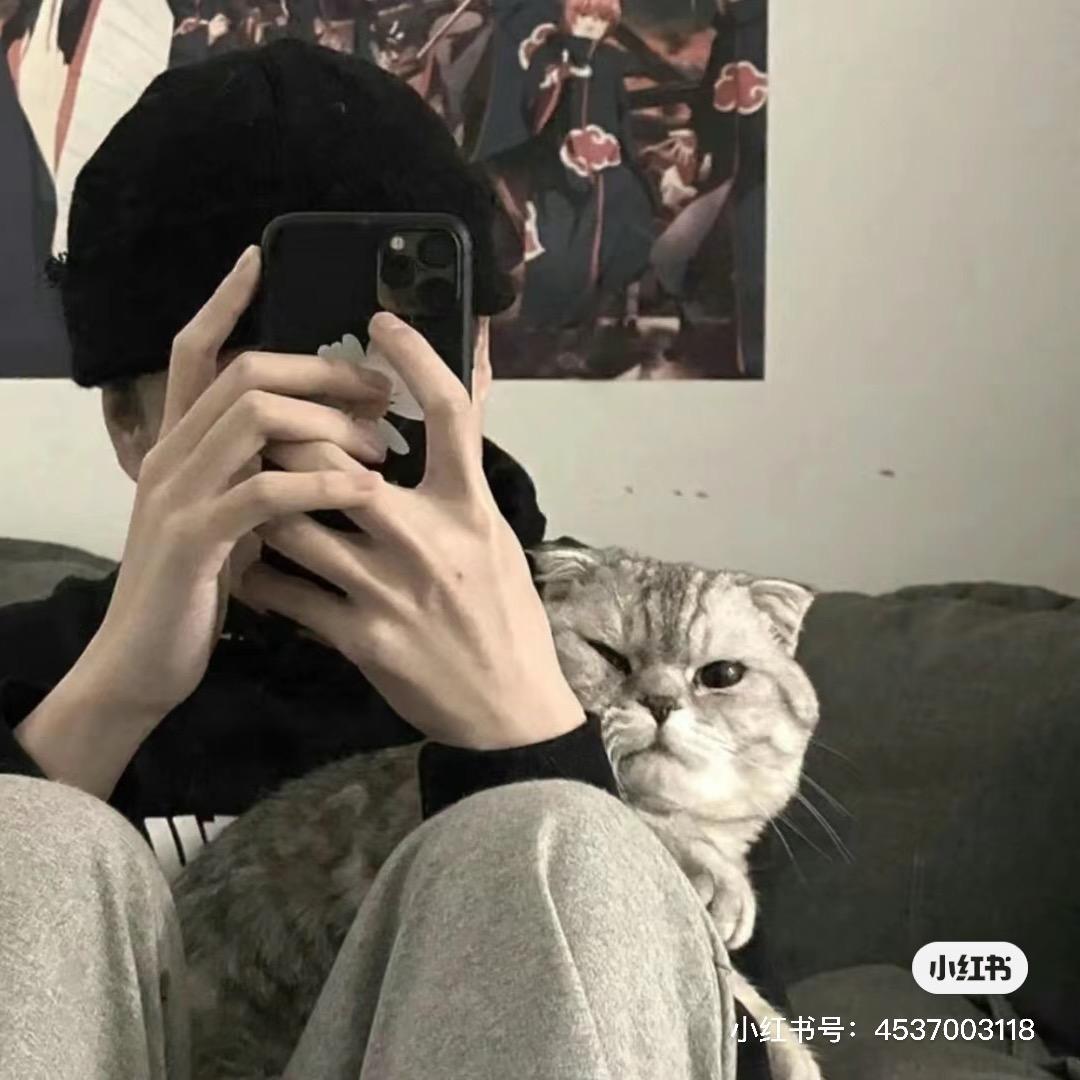 我真不是大明星