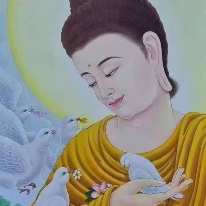 莲花之光音