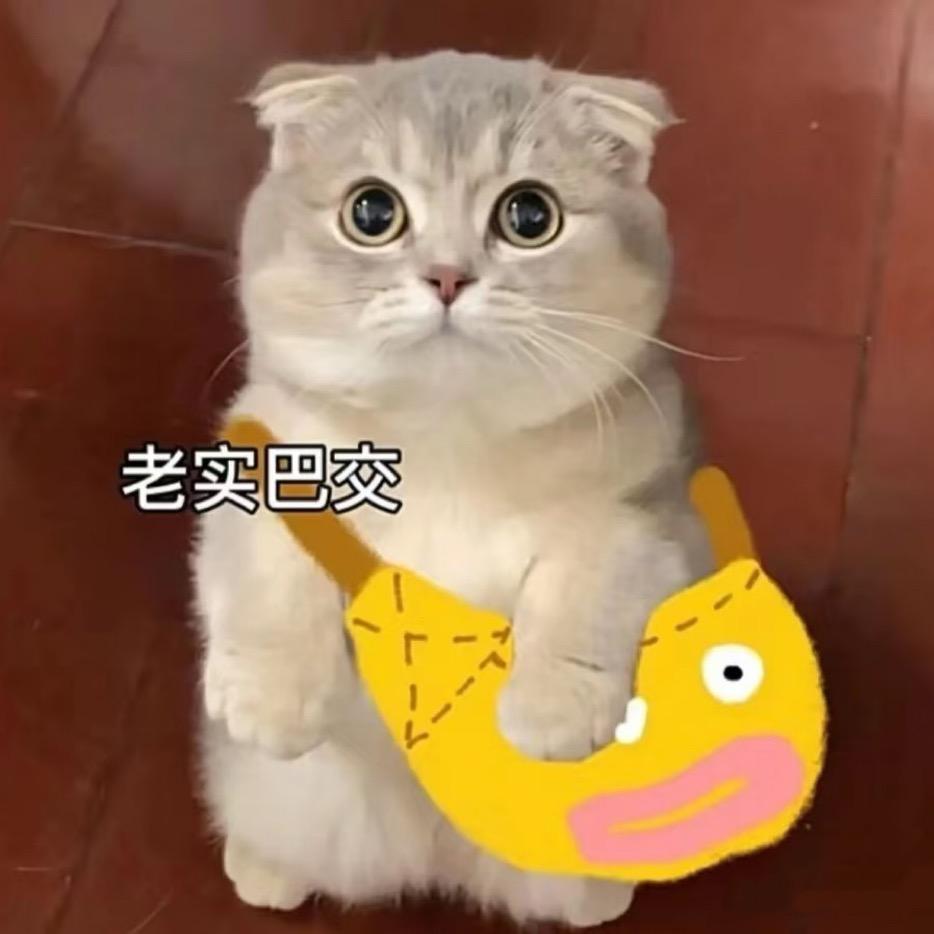 世界第一安全感女人🥟