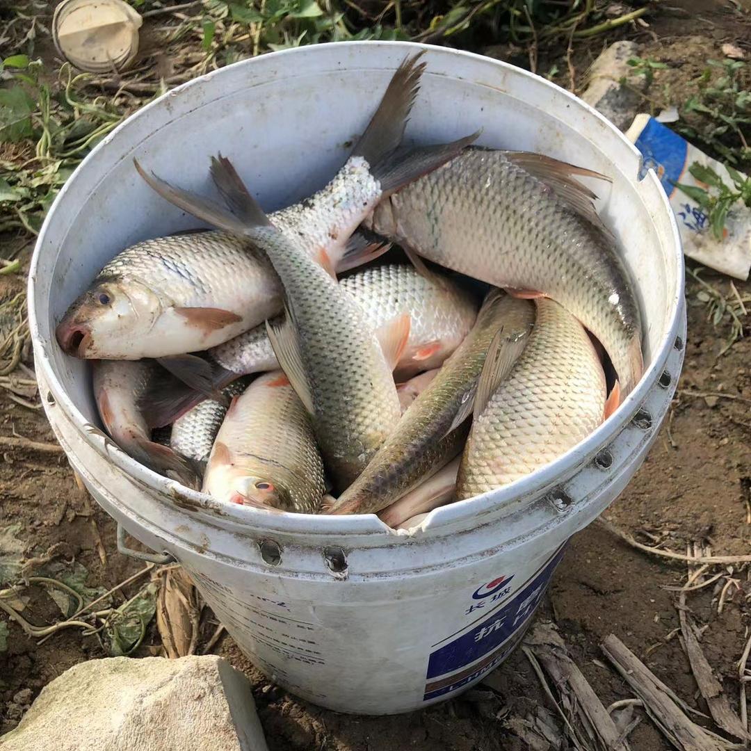 🎣海浪