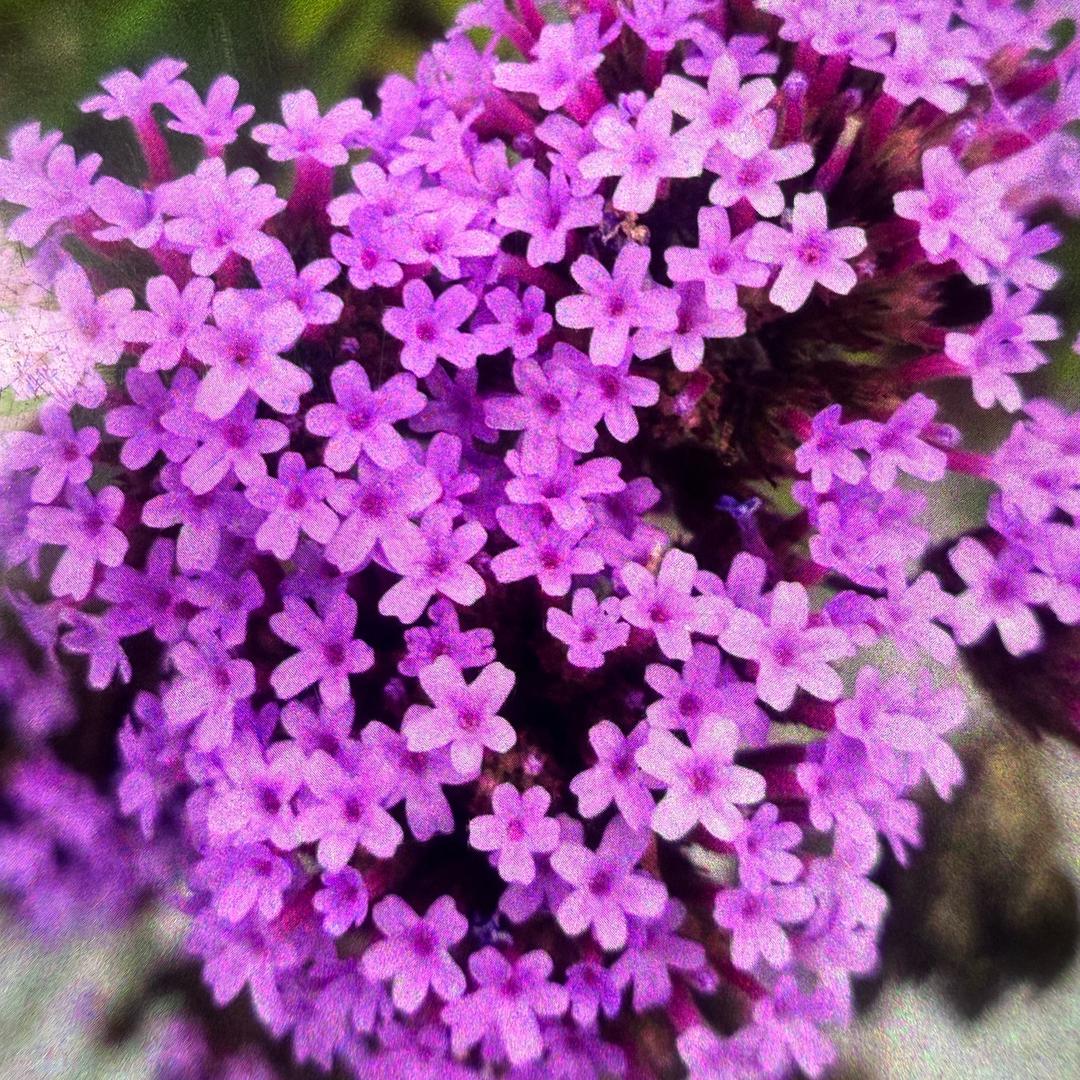 情缘驿站