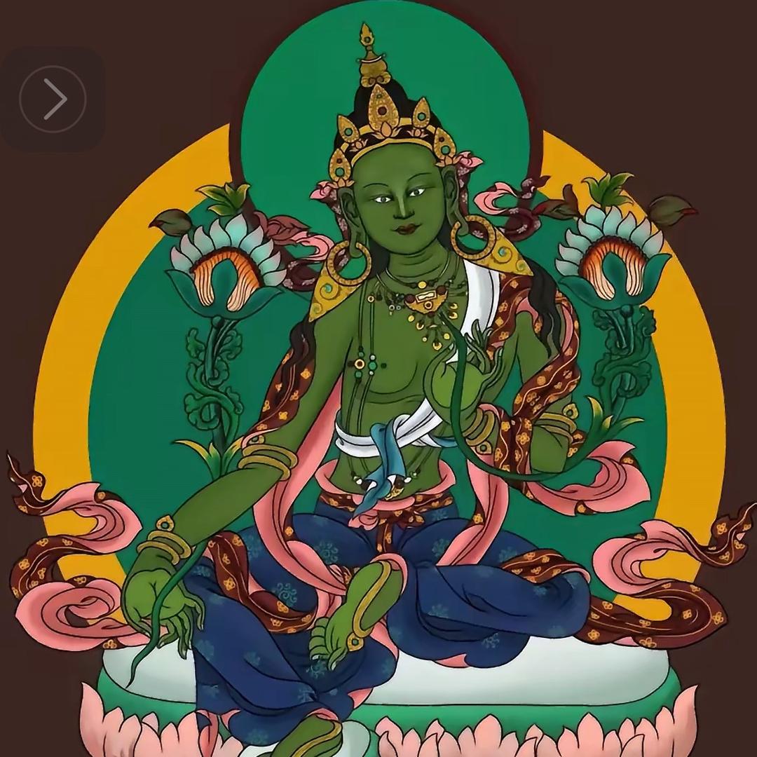 开心果😁