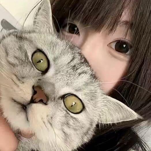 是婕不是捷.