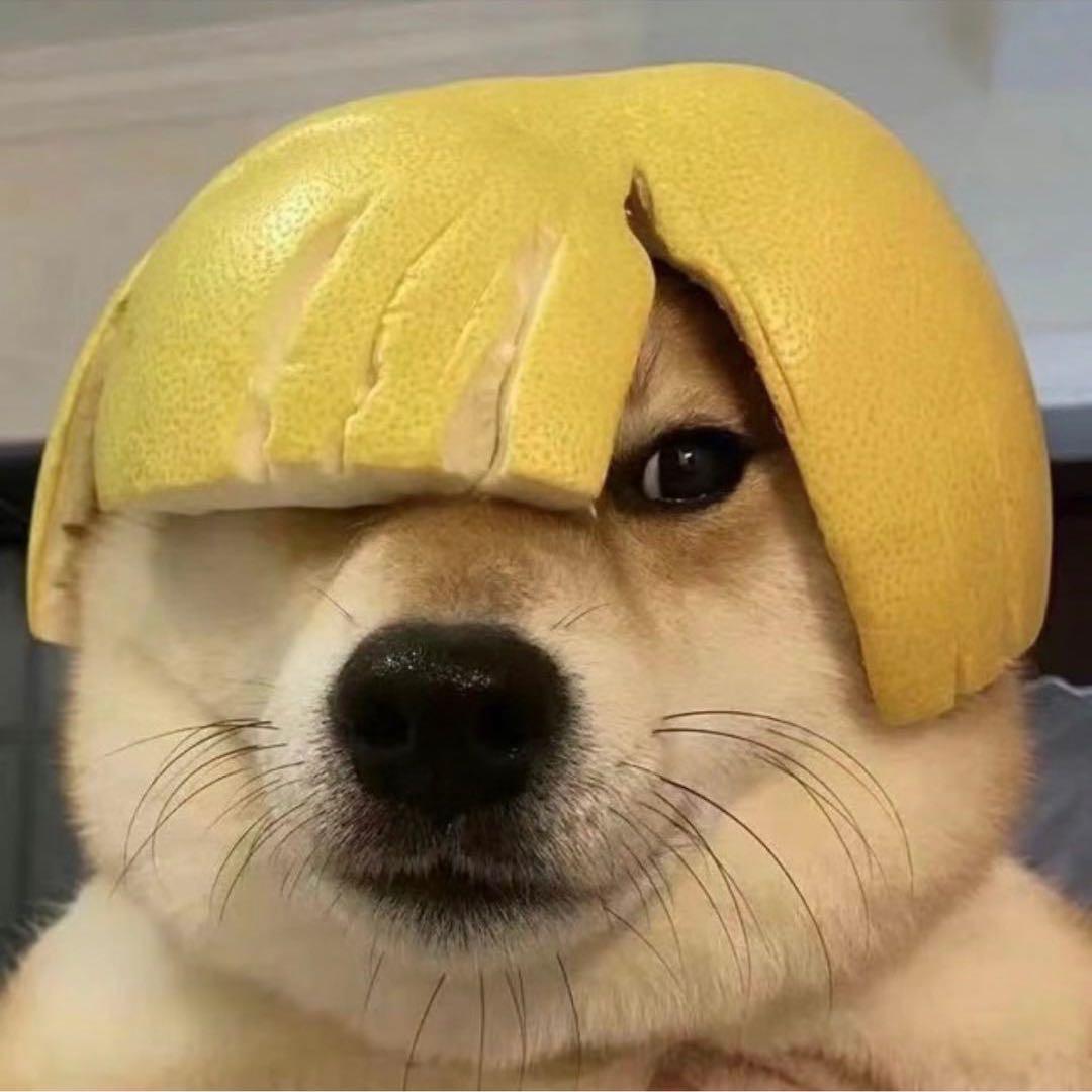 我在水中尿尿过耶