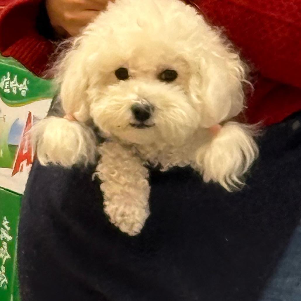 用户257633677654433