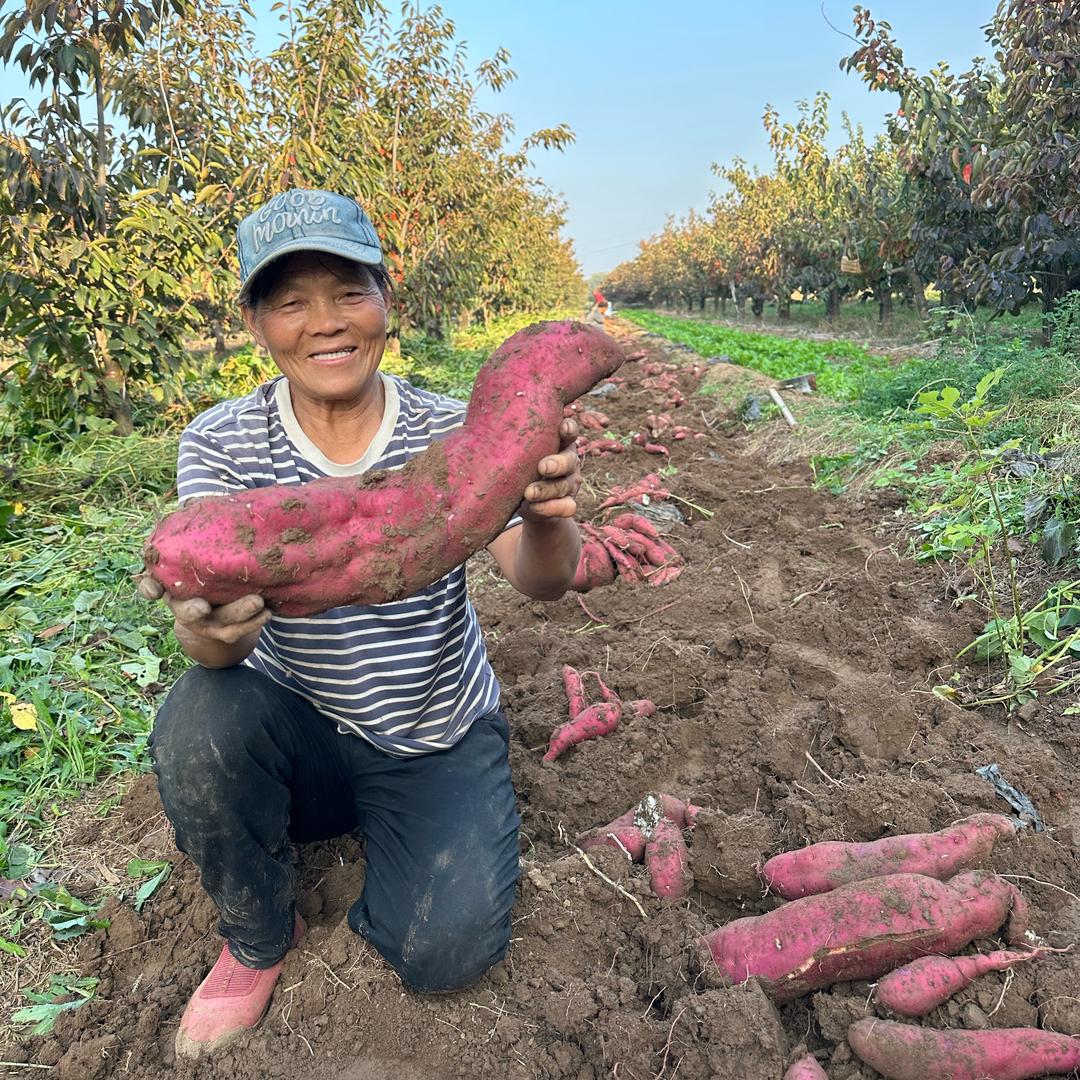 光学姐的捏捏铺