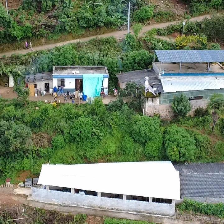 00后养猪小伙小龙+猪饲料