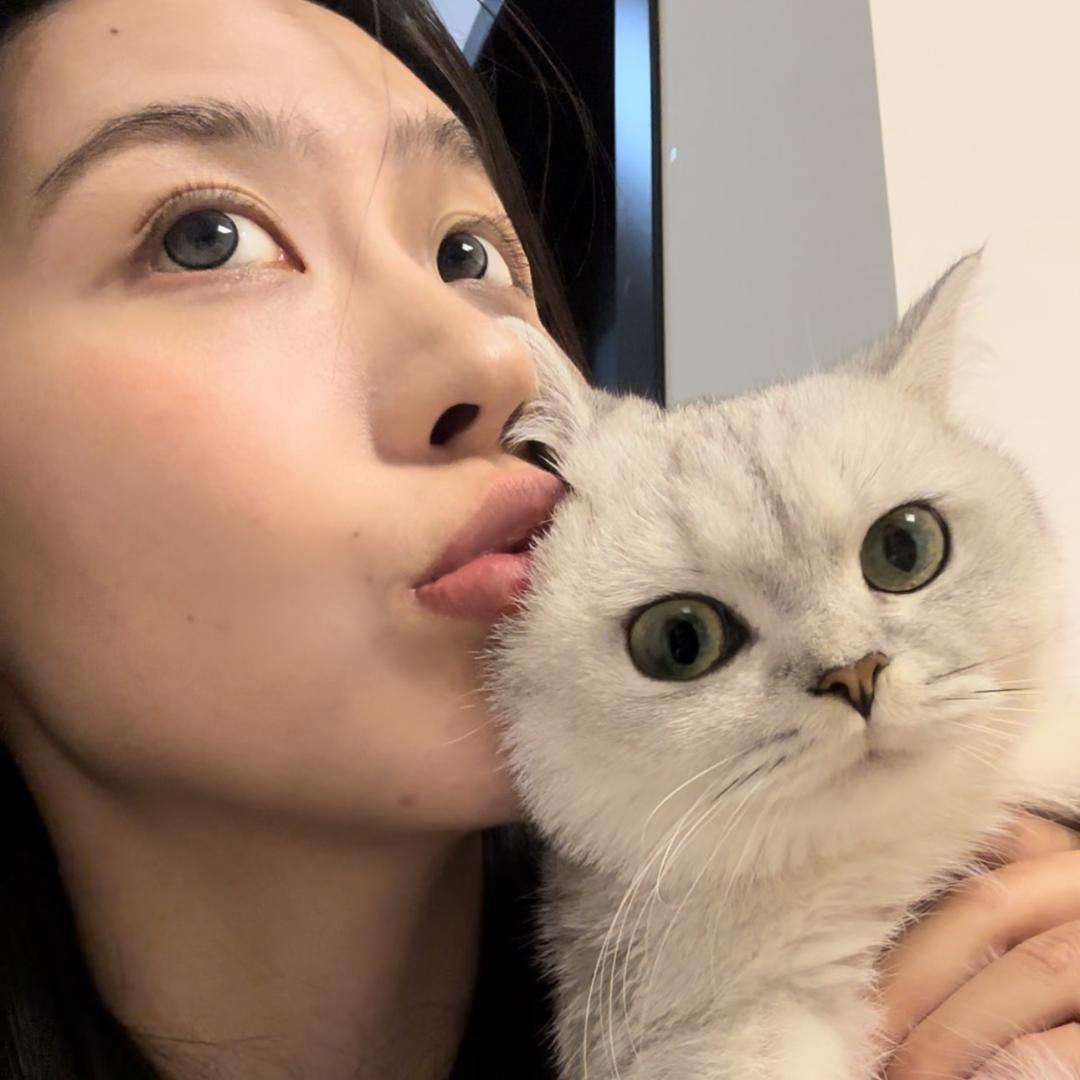 小鹅肥肥