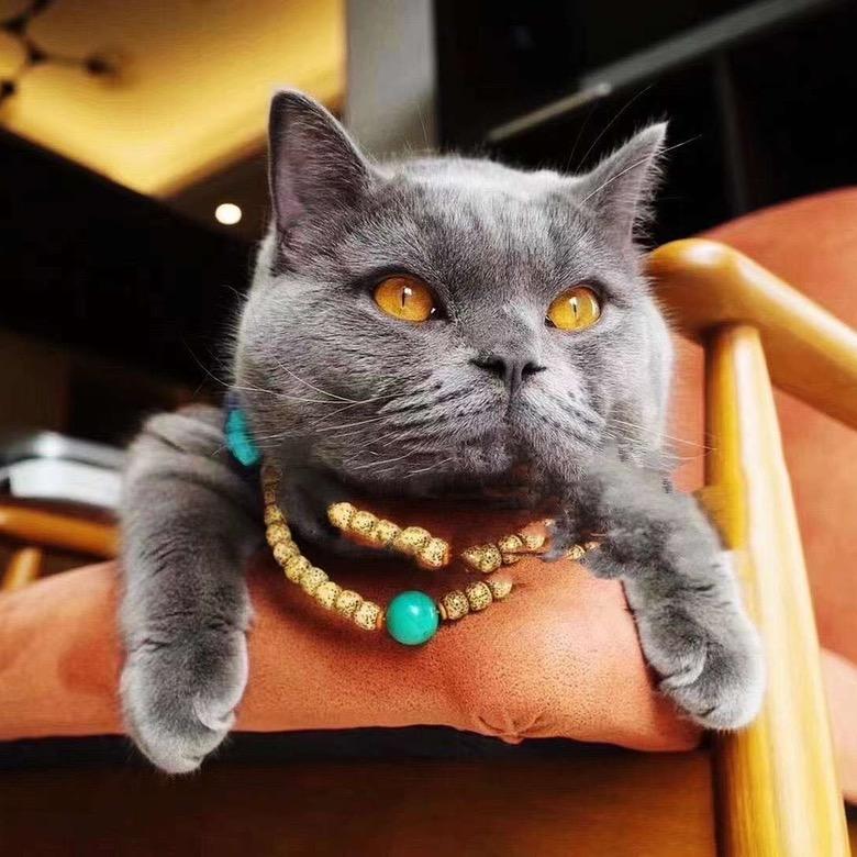 猫哥绿松石珠宝