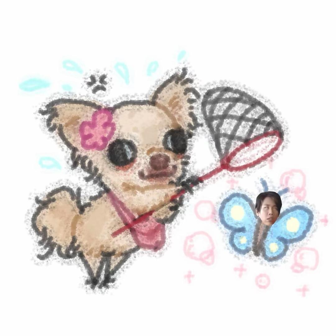 小郭爱吃火郭🍲