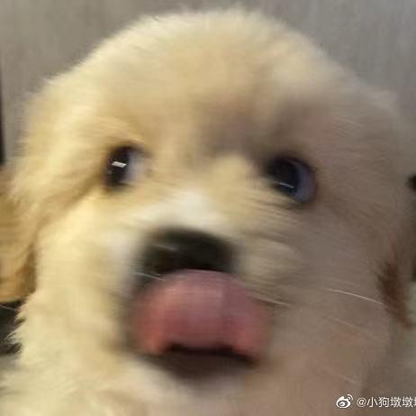 修勾墩墩