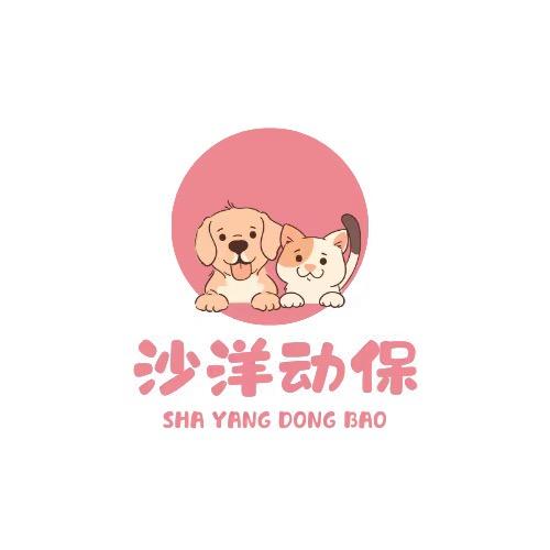 沙洋动保卢玲