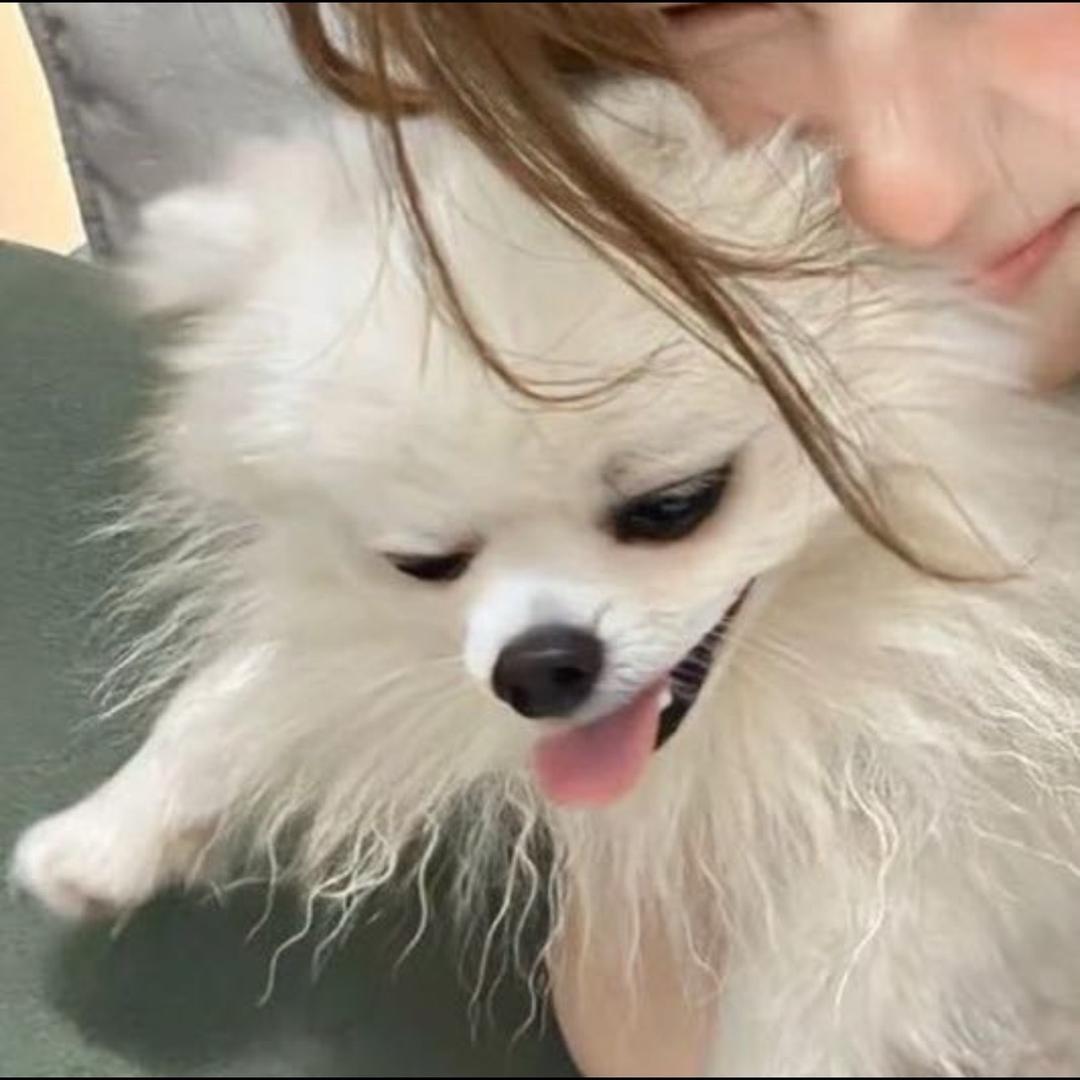 麟州