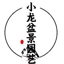 小龙园艺盆景