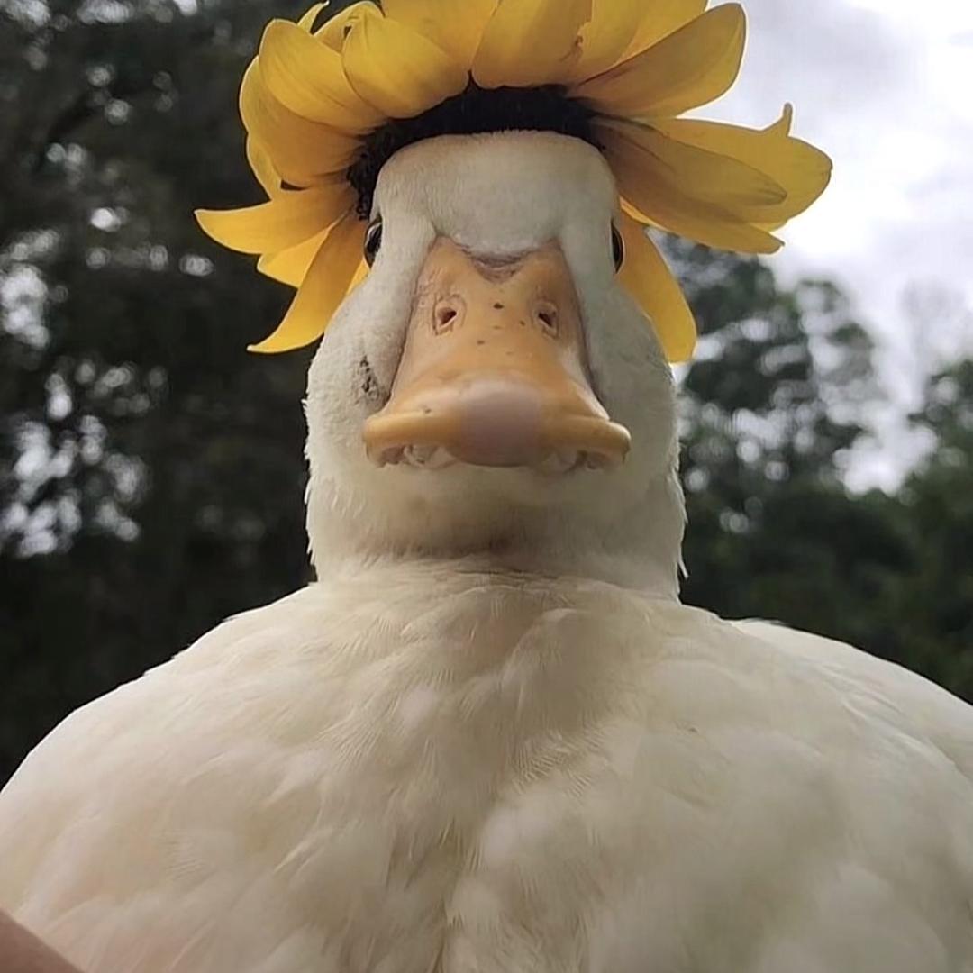 等待戈多