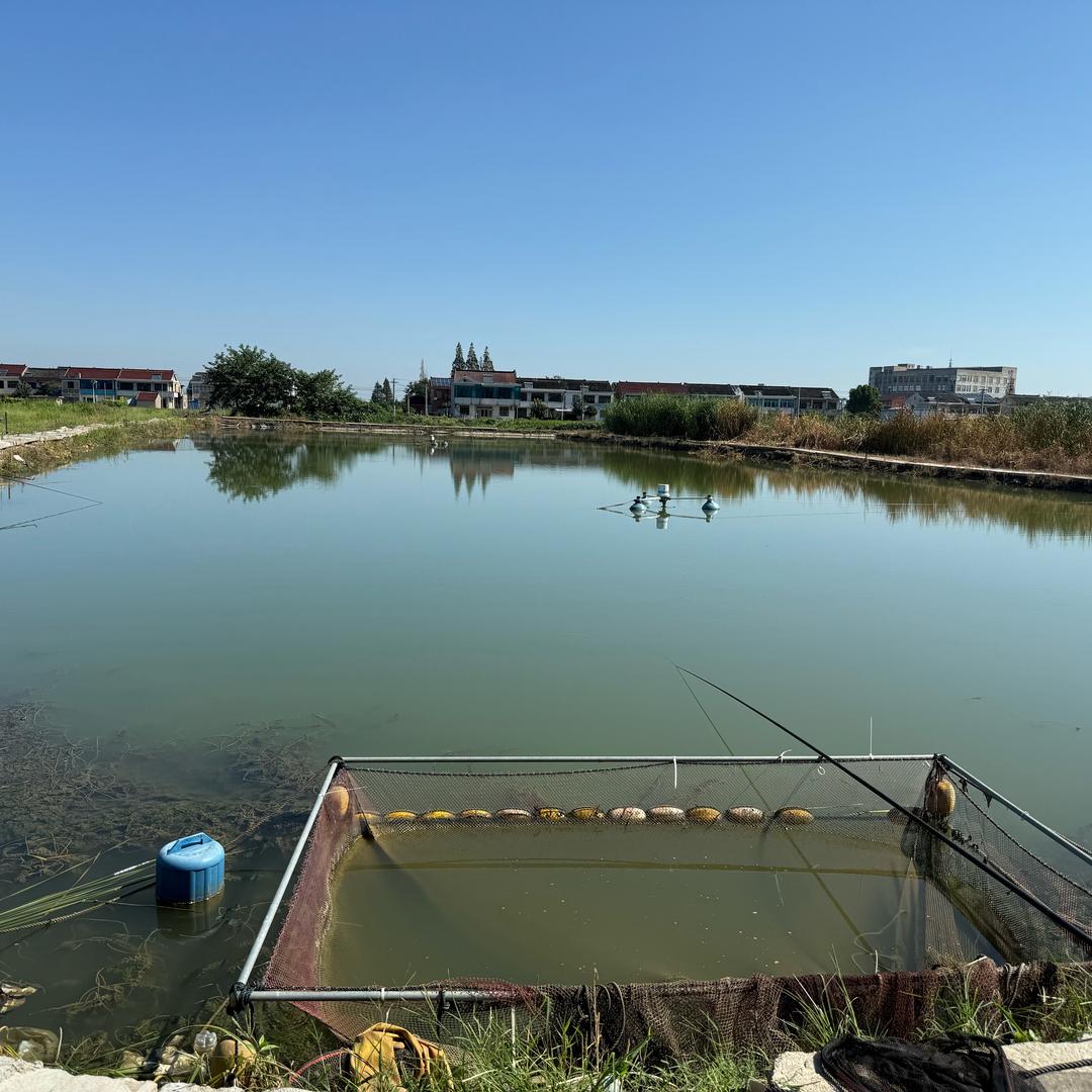 外国人垂钓中心