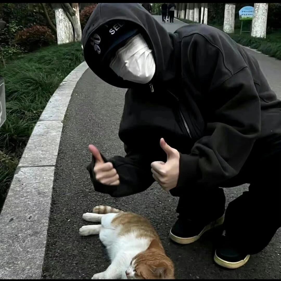 小杰超会搭⌓‿⌓