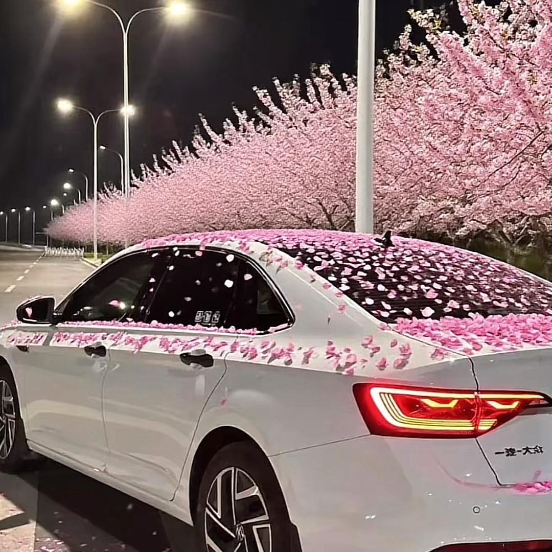 小亮同鞋