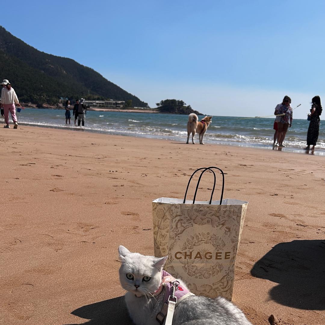 大圣去了尼泊尔~