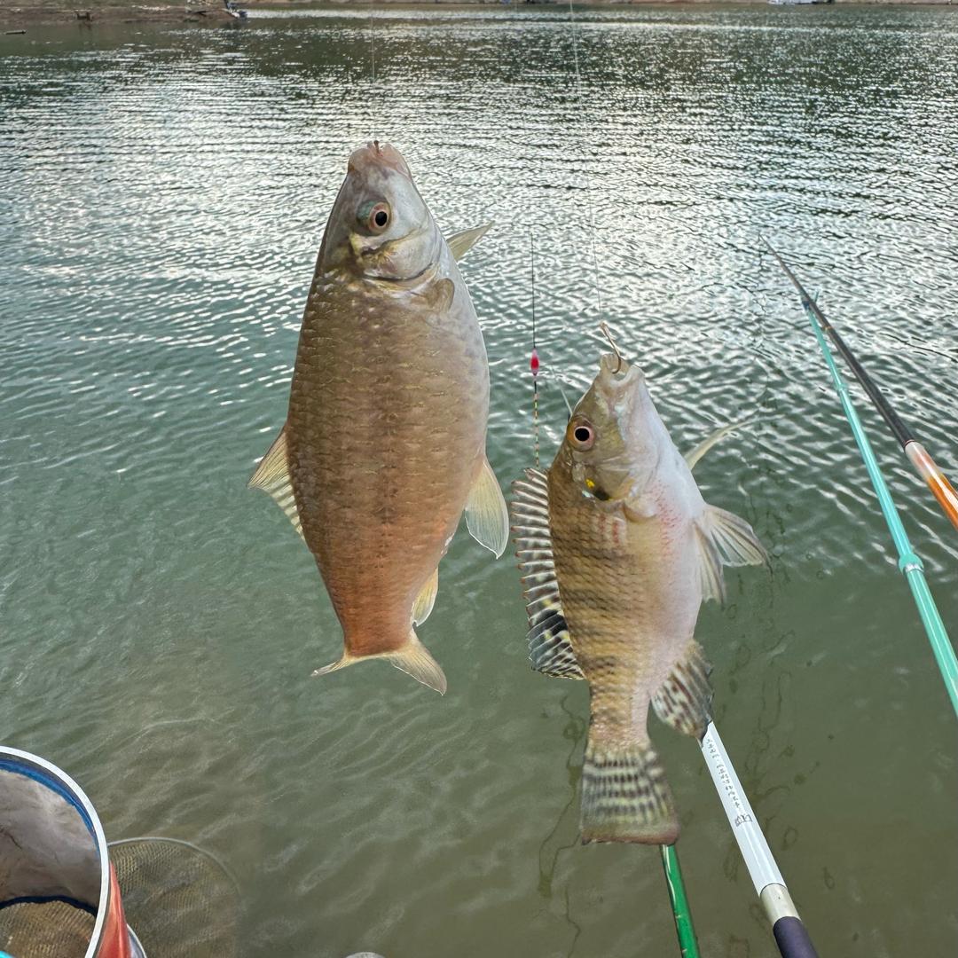 ༒芥末先生༒Ꮮ࿆H㎕௸*💋