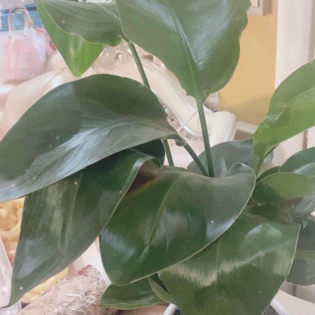 华智汇国际贸易直播11号