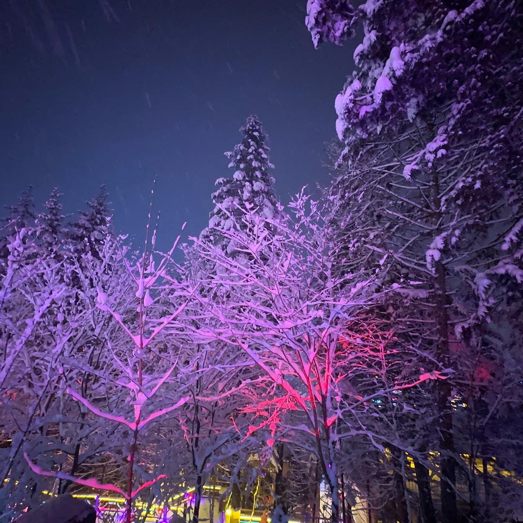 是个小小负婆呐🧏‍♀️～