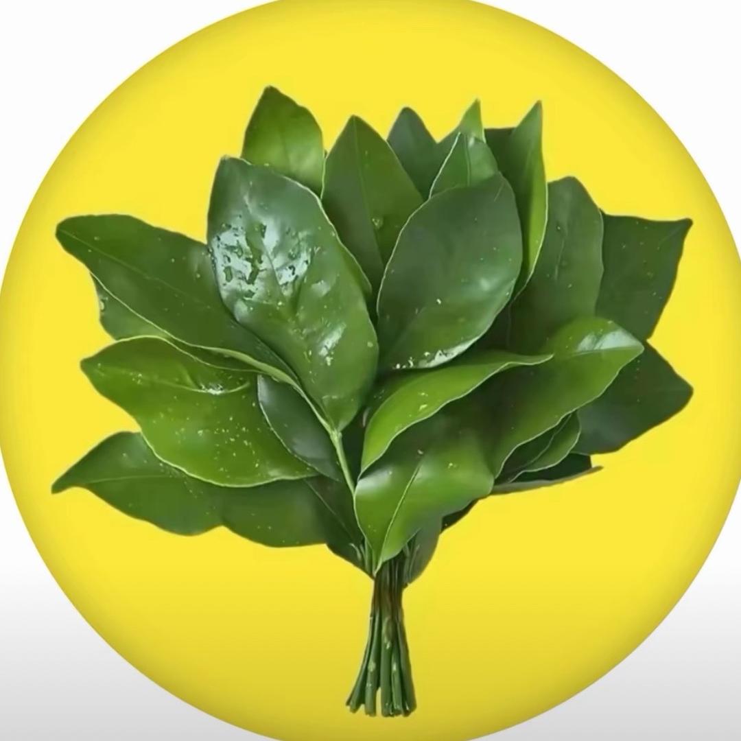 初凡时光蛋糕甜品