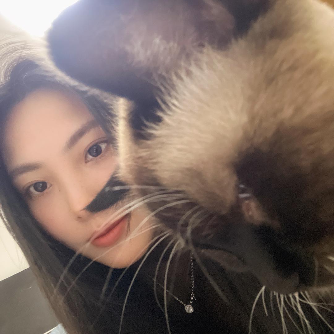 美妮-