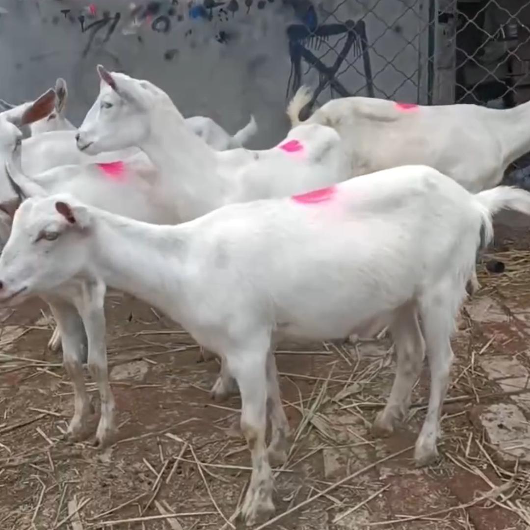 金隆图文广告云南展绊晟营销号