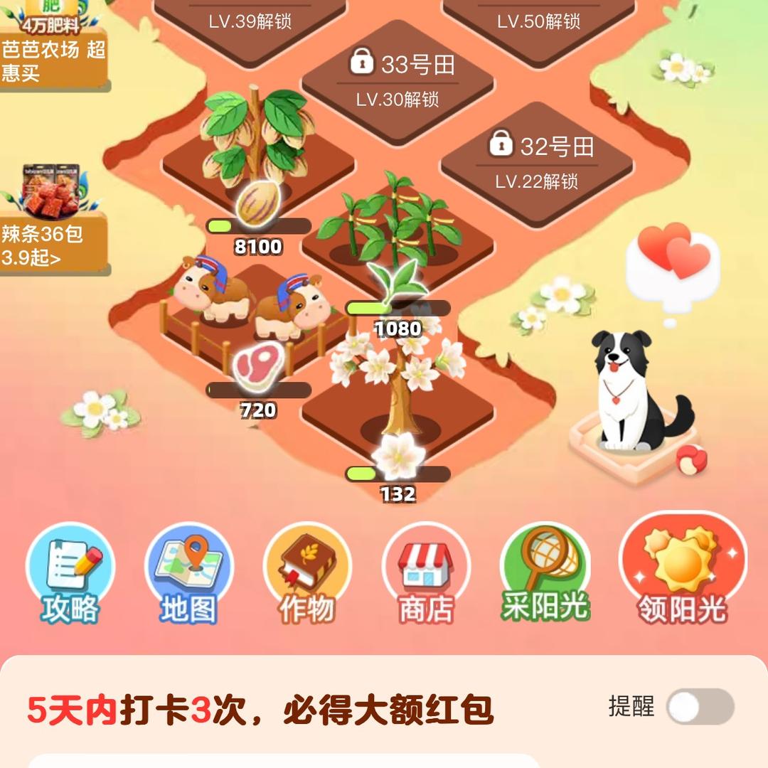 乔姐姐
