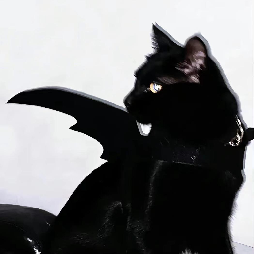 蝙蝠🦇