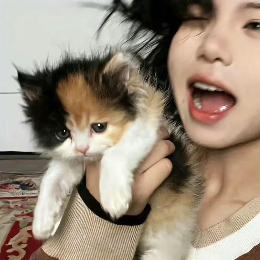 比较不错的女人