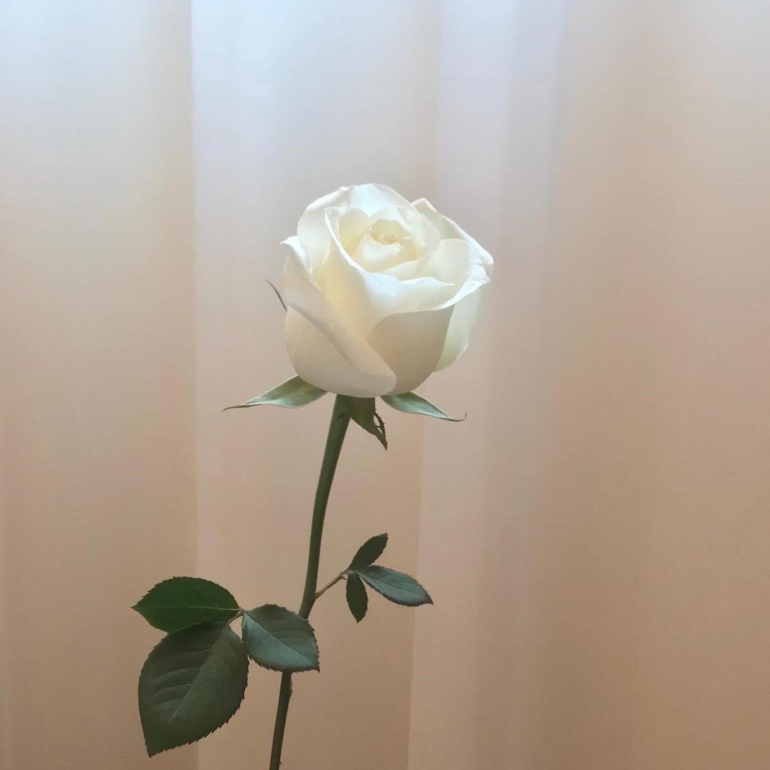 她在写