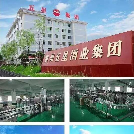 五星集团源头直播间