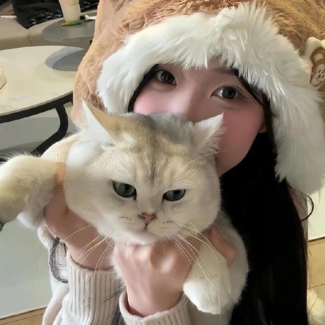 小猫不吃yu