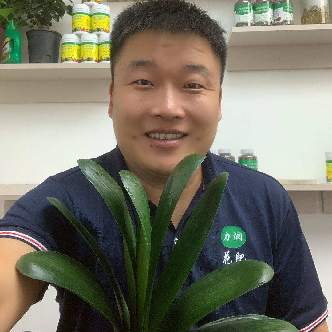 力澜园艺肥料（早6:10开播教养花施肥）