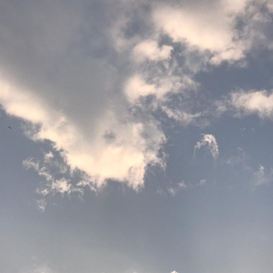 情和义