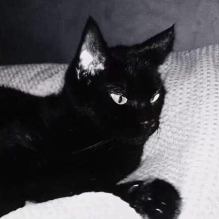 win美妆回收♻️