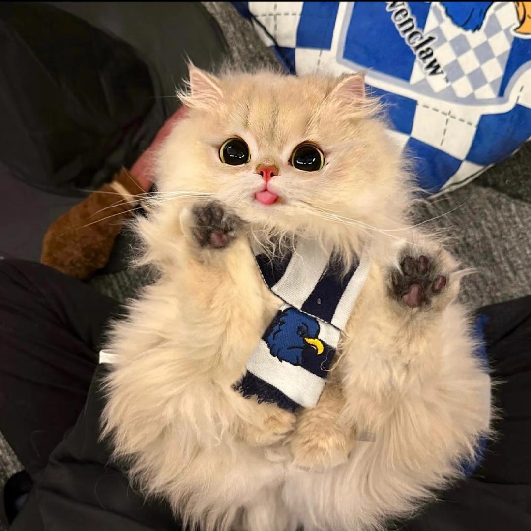 🎀周周🎀