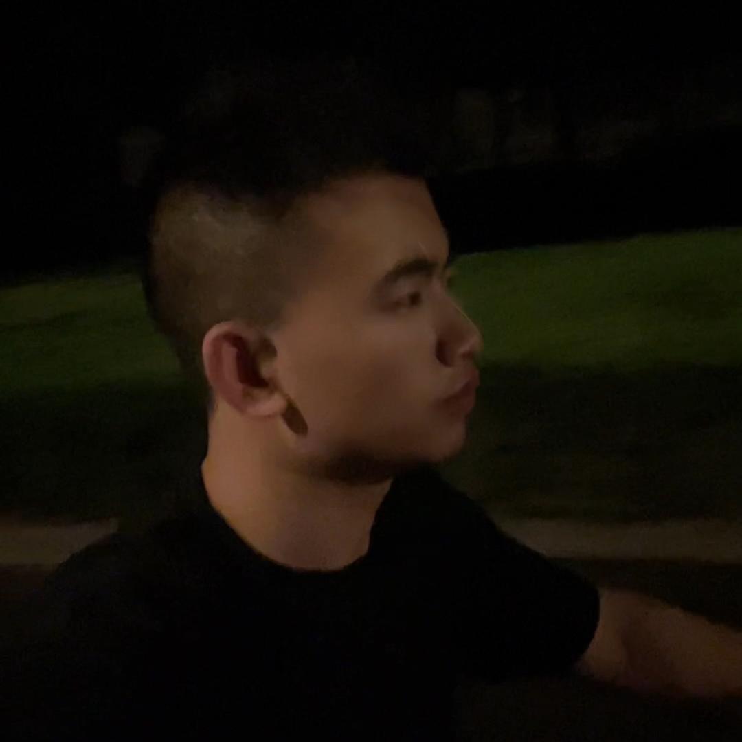 树Ծ‸Ծ林