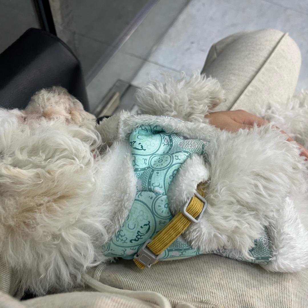 ꦿ꯭꧔ꦿ微℘醺ღ᭄